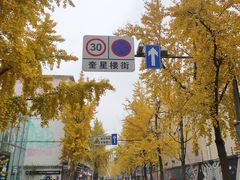 -奎星楼街
