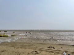 -启东黄金海滩景区