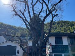 -丹山赤水风景名胜区