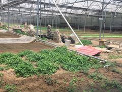 -1369冰火锅(木北路店)