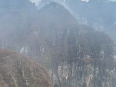 -王莽岭风景区