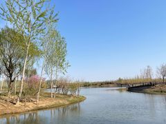 -东郊湿地公园