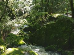 -牛背梁国家森林公园