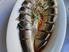 -九头鸟酒家(东高地店)
