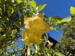 -天龙八部武侠城