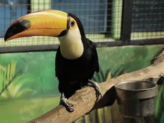 -海合安武汉极地海洋公园