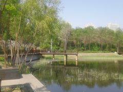 -群力丁香公园