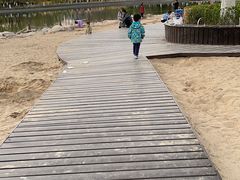 -大兴滨河森林公园