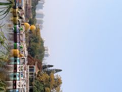 -荔枝公园(福田区)
