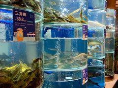-香坝坝鲜鱼火锅(春熙路店)
