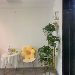 -凡碧诗毛孔收细
