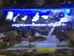 -新海渔港·胶东海鲜家常菜·家宴(奥体中心店)