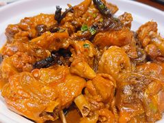 小鸡炖粉条-老厨家(友谊路总店)