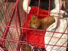 -第三空间·趣味桌游·轰趴.室内CS.剧本杀(大武汉1911店)