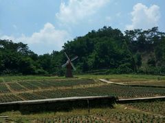 -德庆盘龙峡生态旅游区