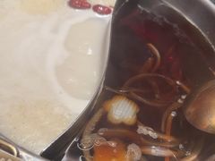 -牛New寿喜烧(金鹰世界店)