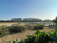 -华侨城湿地公园