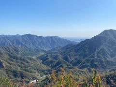 -大岭沟猕猴桃谷风景区