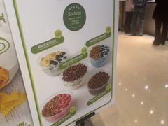 -油梨树AVOCADO TREE(嘉里中心店)