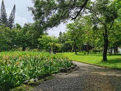 -荔枝公园-小平画像广场