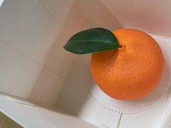-TD66高山铁皮石斛养生茶饮