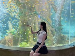 -合肥海洋世界