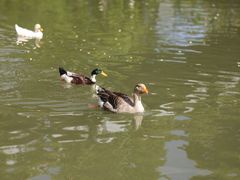 -J Create城市露营咖啡·简餐·宠物(上海动物园店)