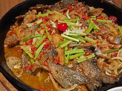 -老板恋上鱼(恒隆广场店)