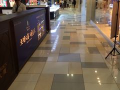 -鹏欣水游城