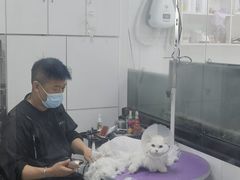 -中农国际动物医院24小时·猫科·骨科·急重症中心