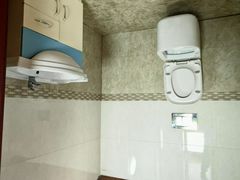 -金山农民画村-枫泾波兰倒置屋