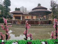 -万象温泉景区