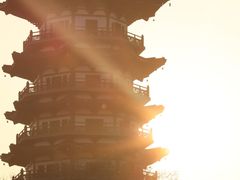 -洋湖国家湿地公园