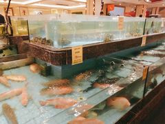 水产区-西贝海鲜汇(槐安路店)