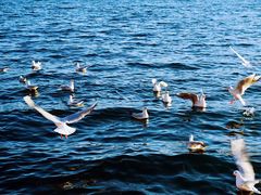 -丽江泸沽湖景区