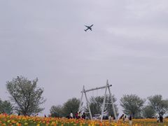 -空港花田景区