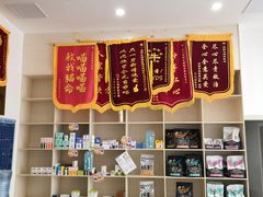 -宠颐生动物医院·猫科·心脏科(海口分院)