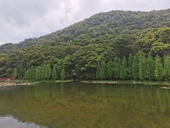 -广州市石门国家森林公园