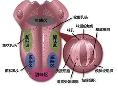 -陶野咖啡·面包披萨