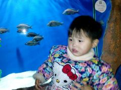 -洛阳龙门海洋馆