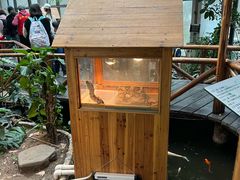 -上海大自然野生昆虫馆(东方明珠·爬宠昆虫探索中心)