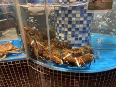 -江南赋(内蒙古大厦店)