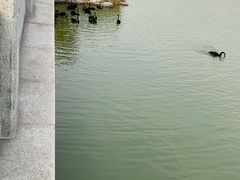 -天津东丽湖风景区