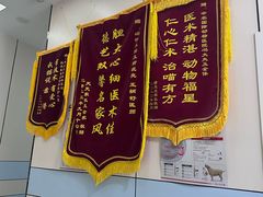 -中农国际动物医院24小时·猫科·骨科·急重症中心