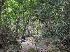 -梧桐山风景名胜区