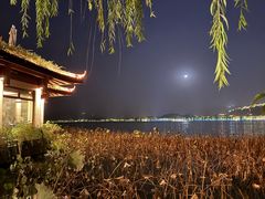 -湖畔居茶楼(湖滨店)