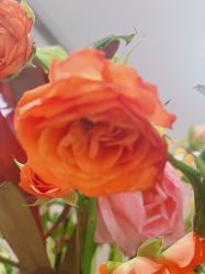 -Oasis Beauty水磨坊科技美肤中心