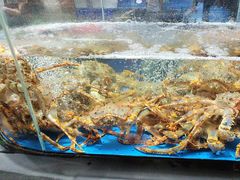 -徐记海鲜(丰庆店)
