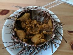 -海胆小馆(东北水饺·春柳店)