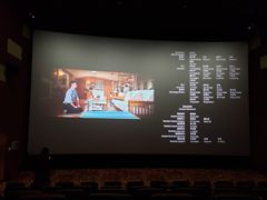 -悦江新远影城IMAX